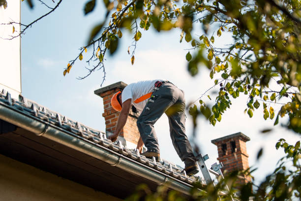 Best Roof Ventilation Installation  in Laurium, MI