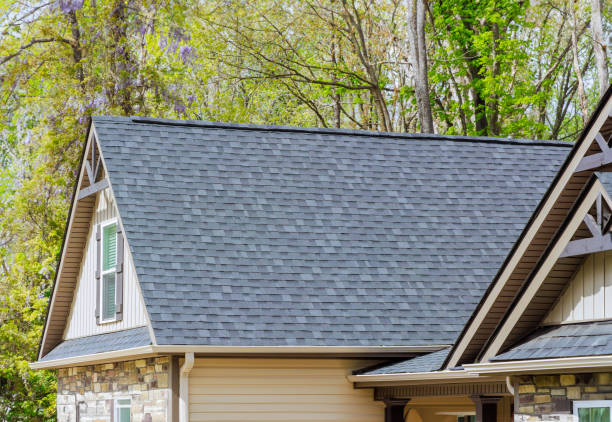 Best Rubber Roofing (EPDM, TPO)  in Laurium, MI
