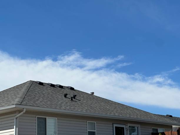 Best Wood Shake Roofing  in Laurium, MI